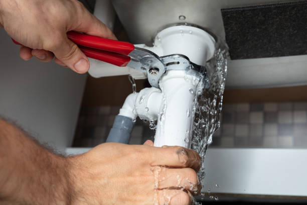 Best Flooded house restoration  in Magnolia, NC