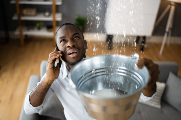 Best Water damage restoration near me  in Magnolia, NC