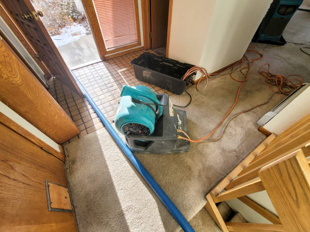Best 24/7 water damage repair  in Magnolia, NC