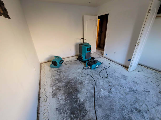 Best Fire Damage Restoration  in Magnolia, NC