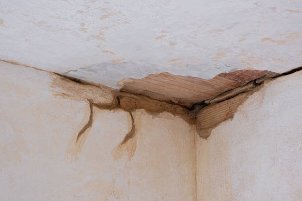 Best 24-hour water damage restoration  in Magnolia, NC