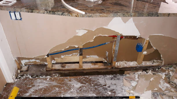 Best Mold removal after water damage  in Magnolia, NC