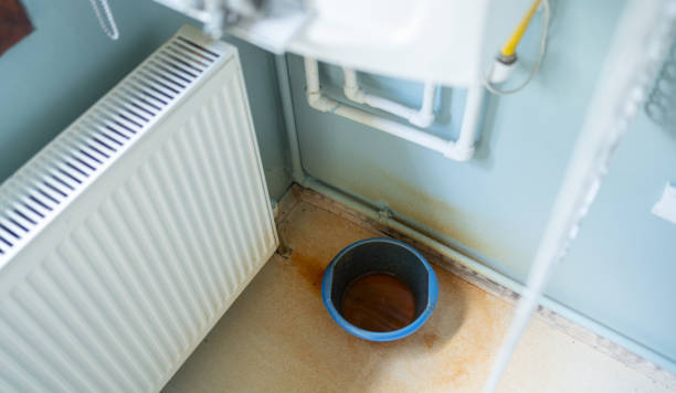 Best Local water damage restoration  in Magnolia, NC