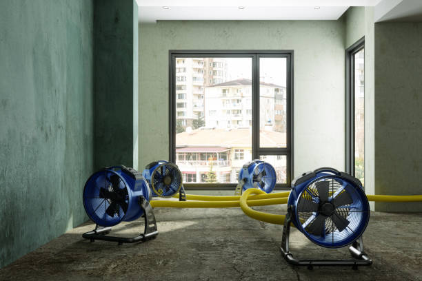 Best 24/7 water damage repair  in Magnolia, NC