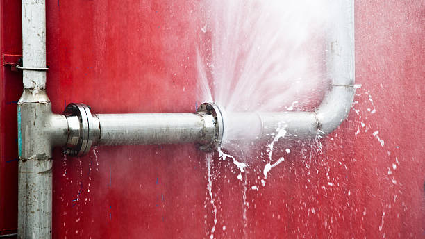 Best Flood restoration services  in Magnolia, NC