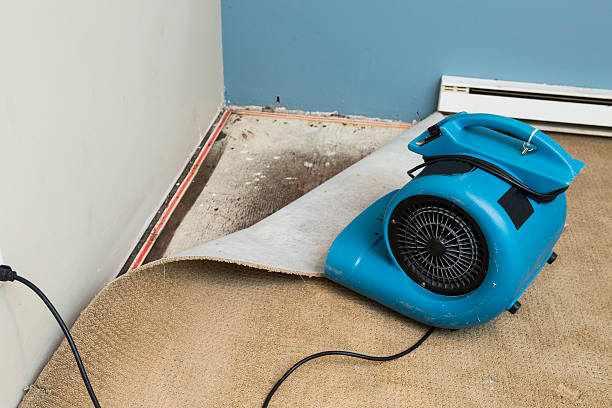 24/7 water damage repair in Magnolia, NC